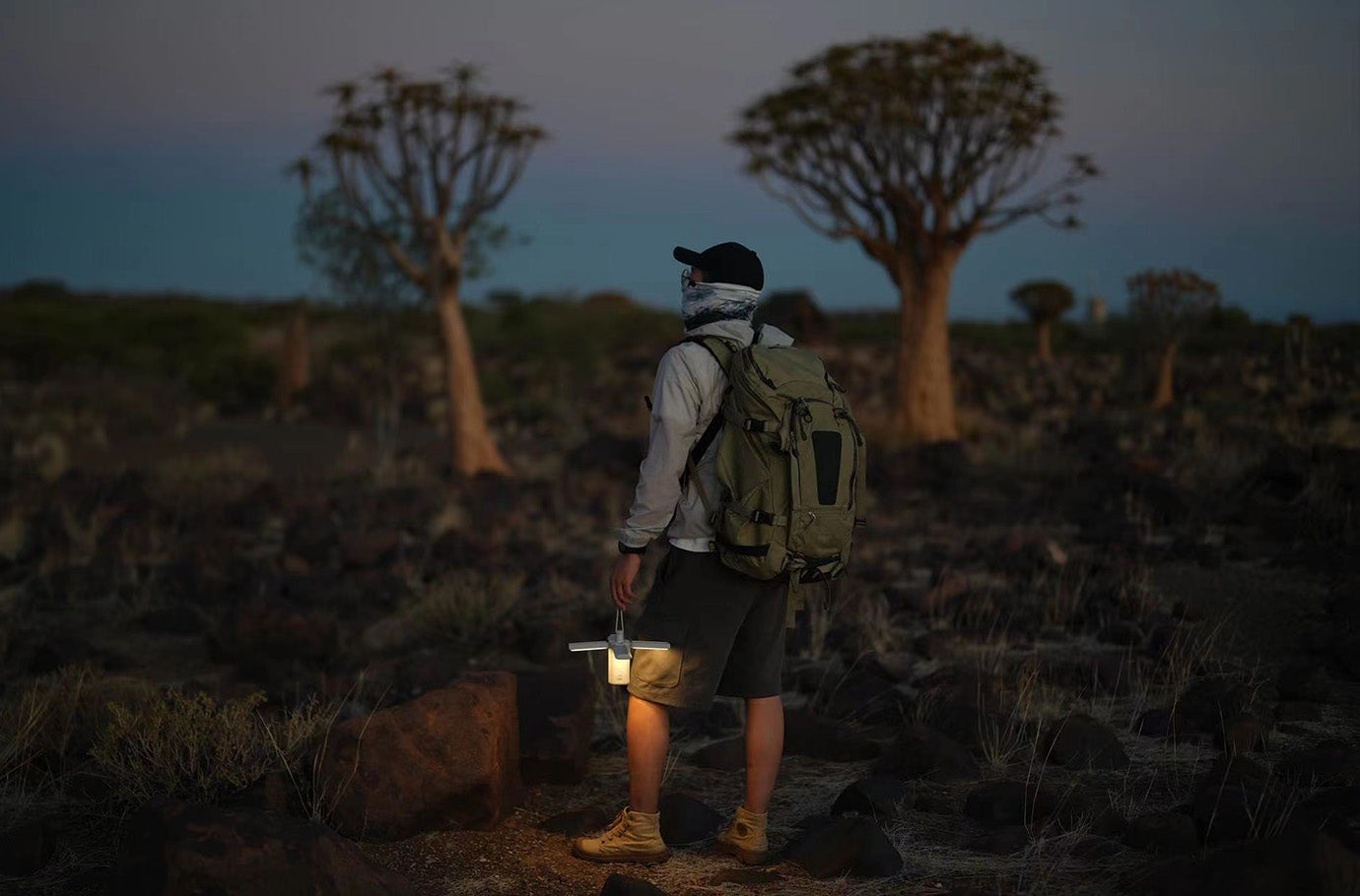 How Different Light Sources Affect Nighttime Wildlife Behavior: Wildlife Friendly Lighting